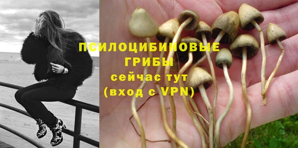 амф Аркадак