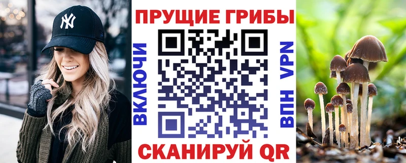 Псилоцибиновые грибы Psilocybine cubensis  Дзержинск 